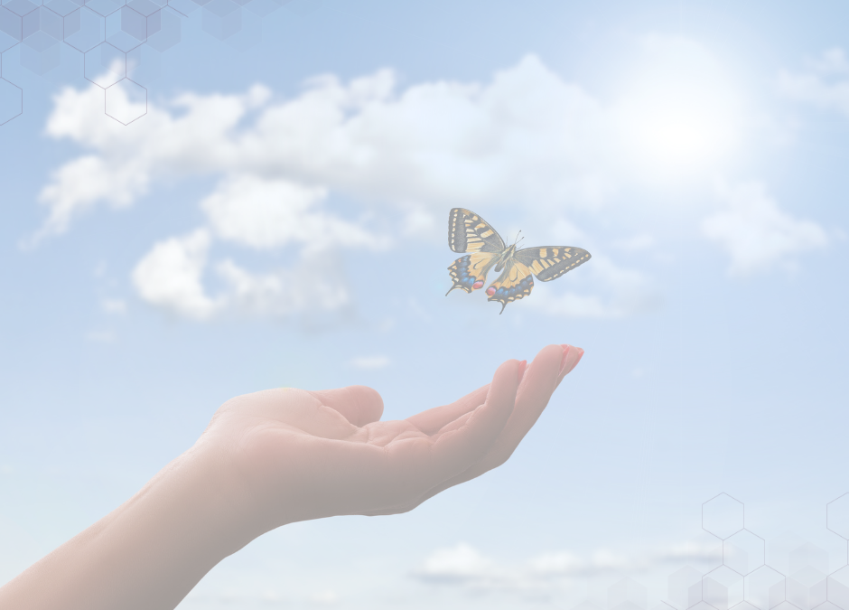 Be Transformed: Are You Misinterpreting This Verse?