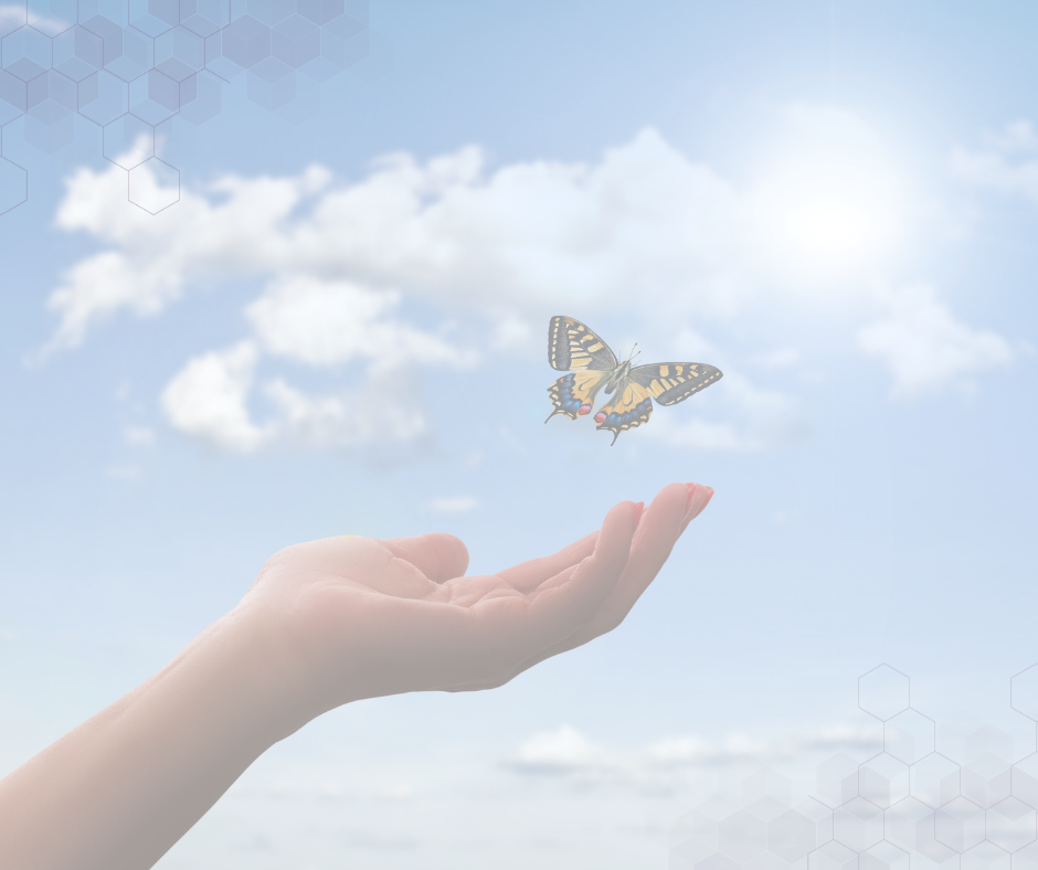 butterfly being released